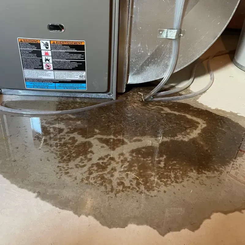 Appliance Leak Cleanup in Holtsville, NY